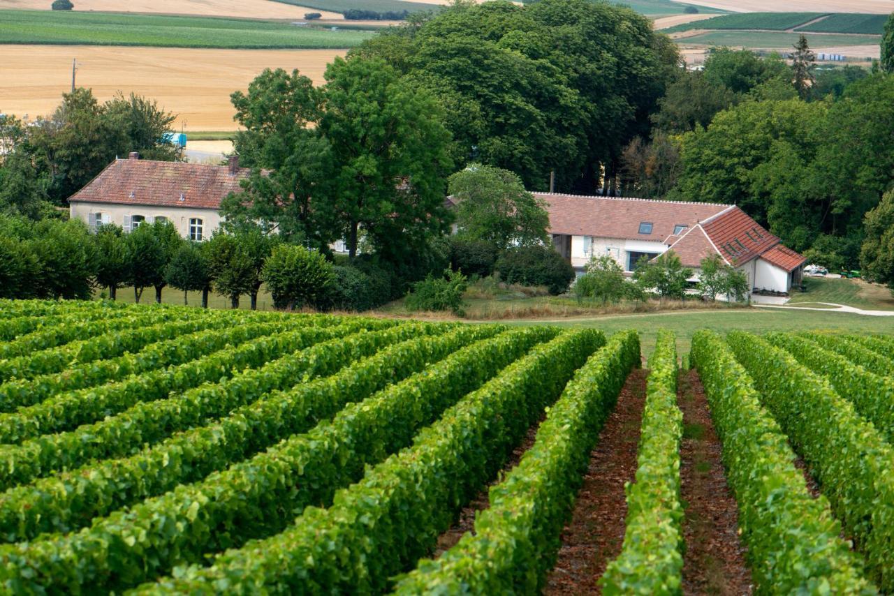 Bed and Breakfast L' Ecrin Des Vignes Sermiers Экстерьер фото